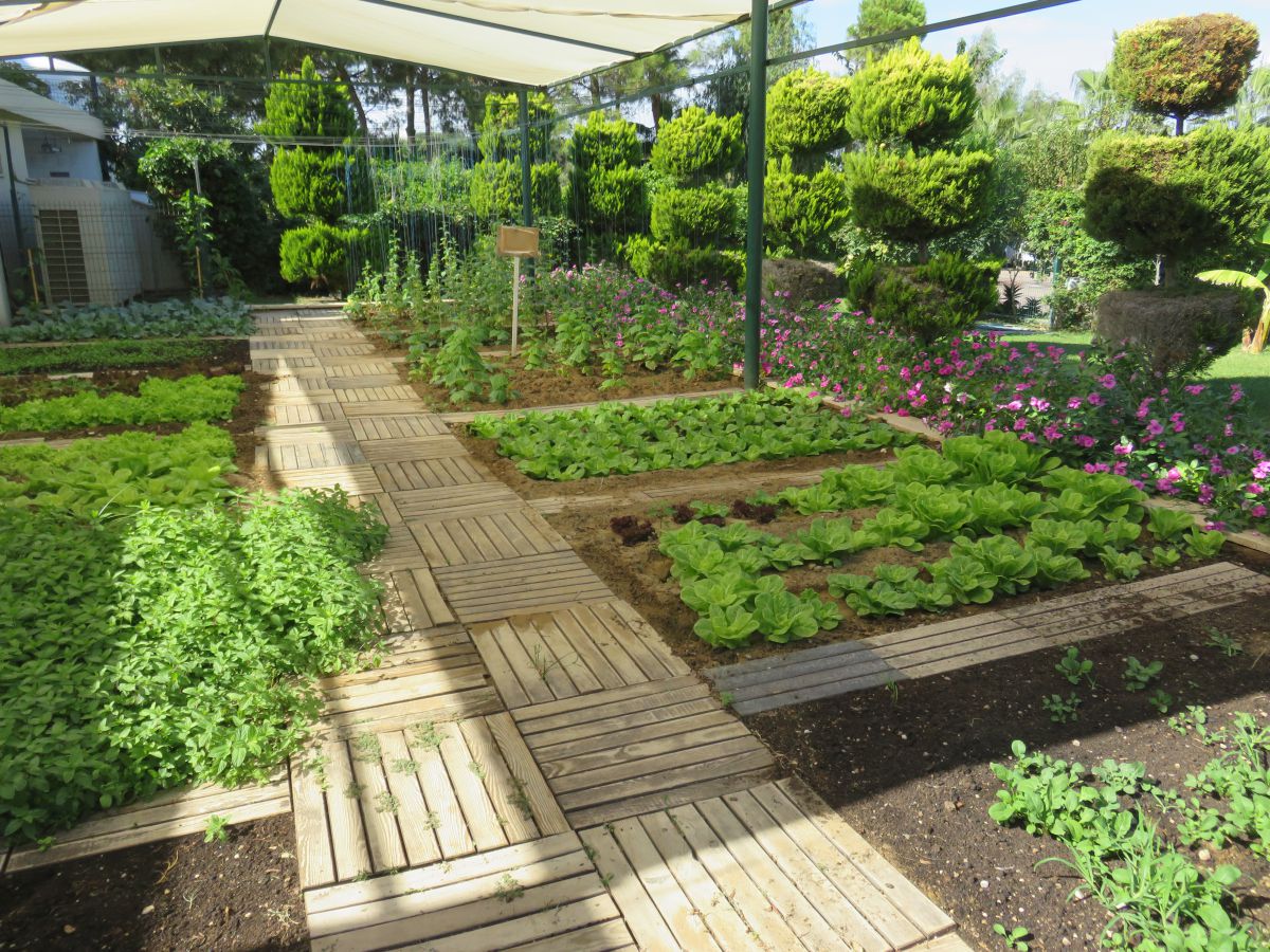 imagini hotel Von Elite